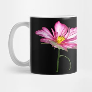 blooming pink flower, bloom, flowers, petals, blooms Mug